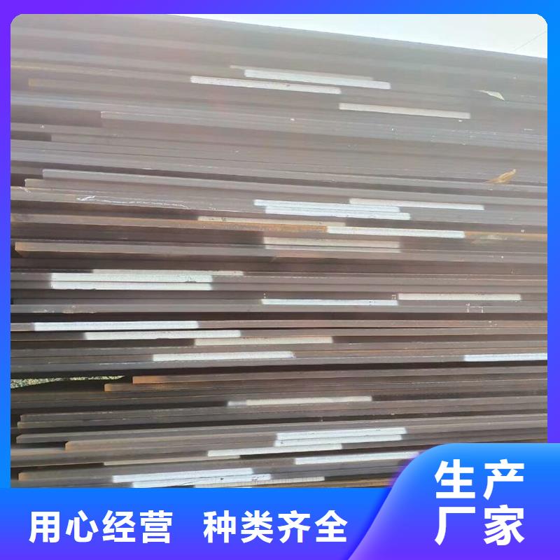 优质Q235B护栏网围挡的批发商
