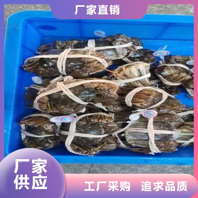 大闸蟹定做价格