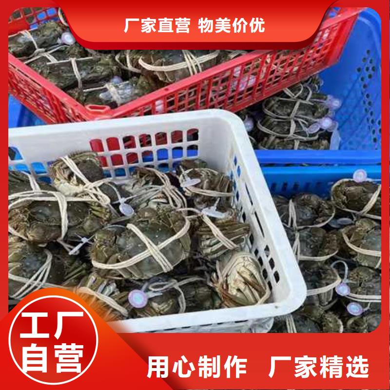 苏州阳澄湖大闸蟹那家实惠味道好