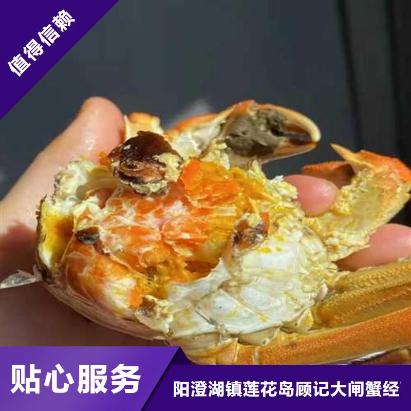 大闸蟹厂家-点击领取样品