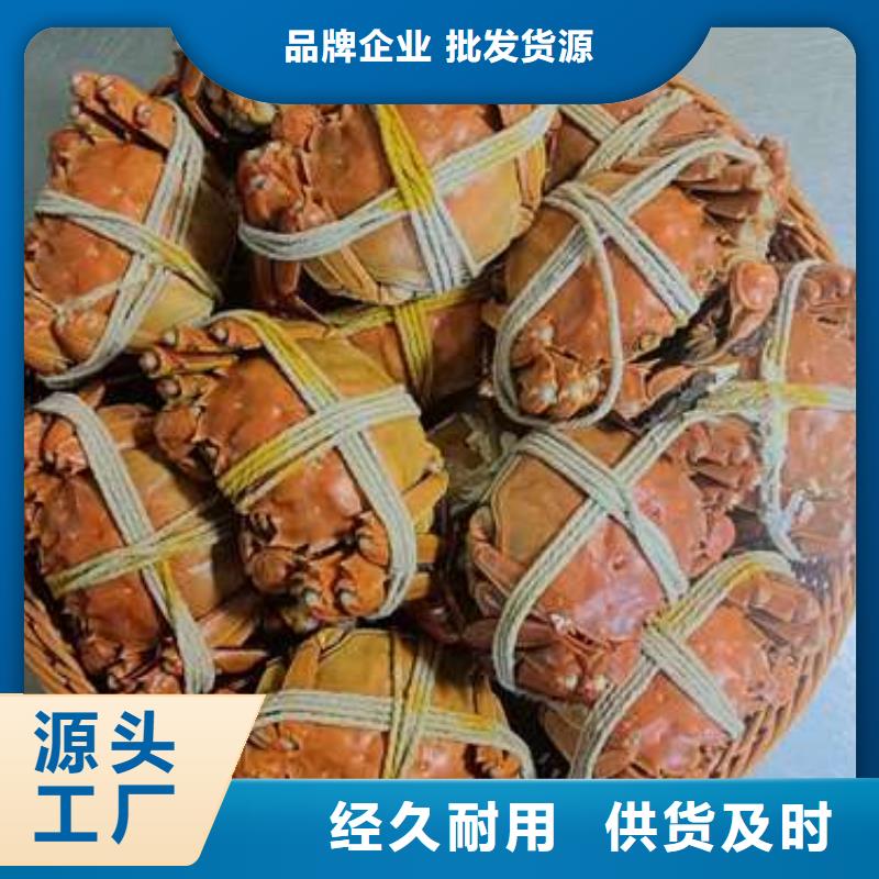 阳澄湖大闸蟹顾记【螃蟹】_阳澄湖大闸蟹订购高质量高信誉