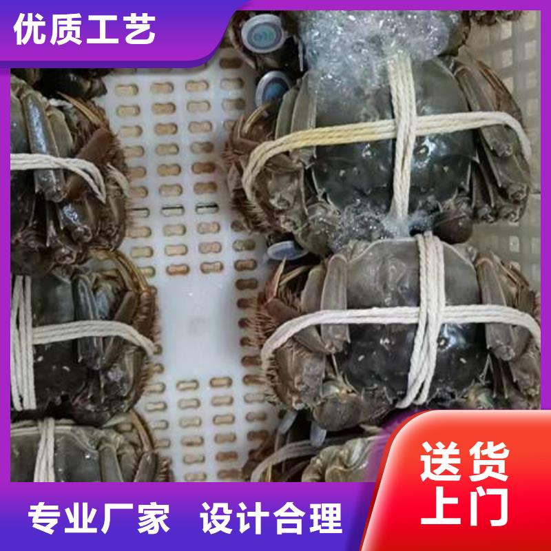 阳澄湖大闸蟹_量身定制