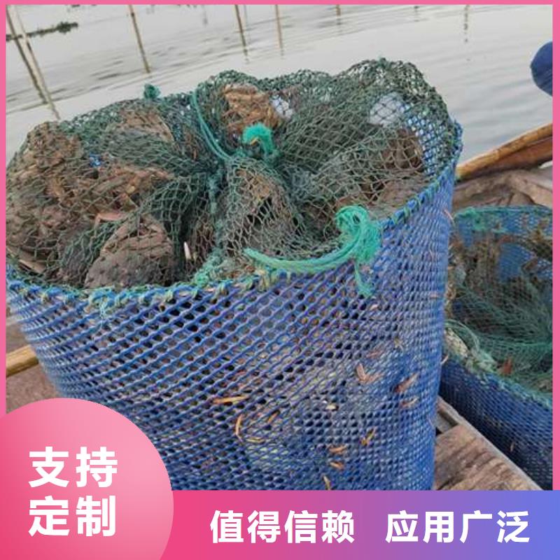 资中|隆昌|广安|自贡|巴中|德阳|甘孜|绵阳螃蟹【阳澄湖大闸蟹订购】定制销售售后为一体-阳澄湖镇岛顾记大闸蟹经营部(内江市分公司)