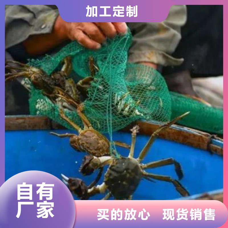 经销商【 螃蟹-卖阳澄湖大闸蟹地方严选材质】