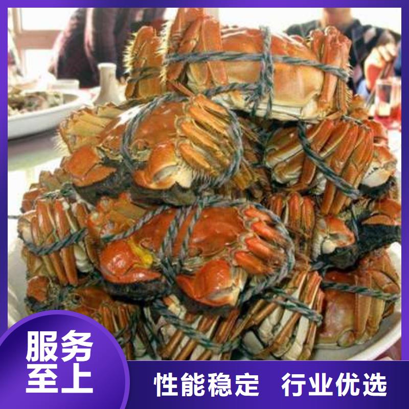 经销商【 螃蟹-卖阳澄湖大闸蟹地方严选材质】