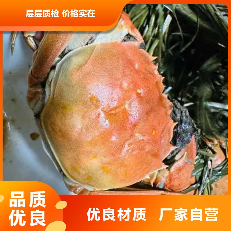 阳澄湖大闸蟹视频-辽宁省沈阳市|苏家屯|铁西|抚顺|葫芦岛|营口|阜新|铁岭|丹东阳澄湖大闸蟹-顾记