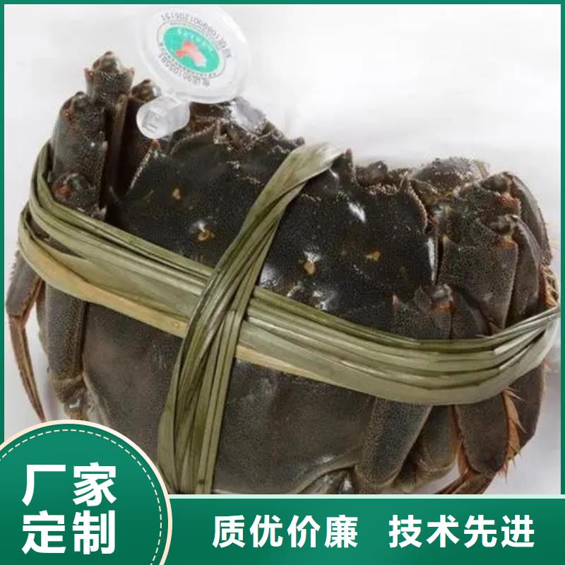阳澄湖大闸蟹视频-辽宁省沈阳市|苏家屯|铁西|抚顺|葫芦岛|营口|阜新|铁岭|丹东阳澄湖大闸蟹-顾记
