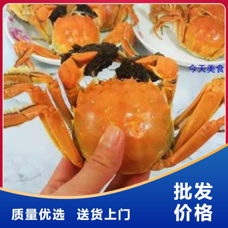 顾记阳澄湖大闸蟹【螃蟹】阳澄湖大闸蟹订购多种规格供您选择sxxgc.com