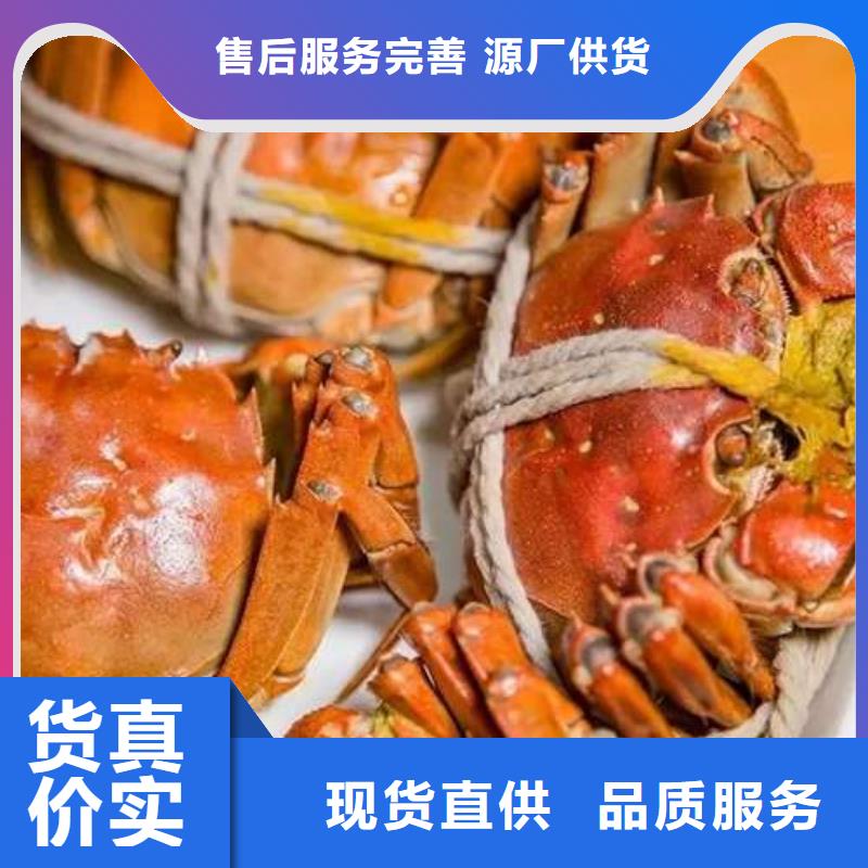 郑州销售阳澄湖大闸蟹