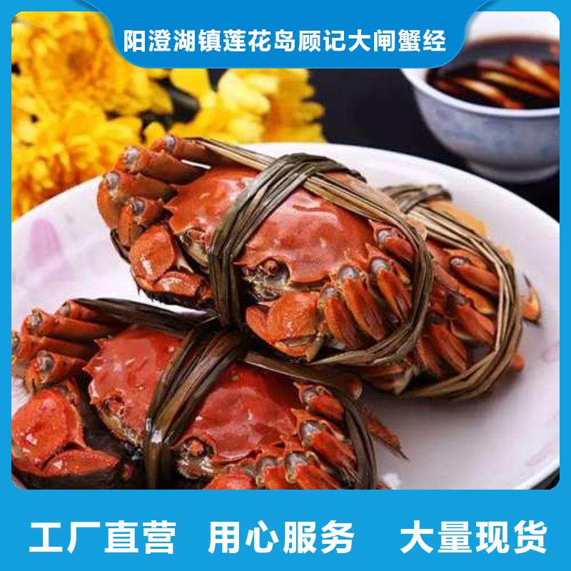 顾记阳澄湖大闸蟹【螃蟹】阳澄湖大闸蟹订购多种规格供您选择sxxgc.com