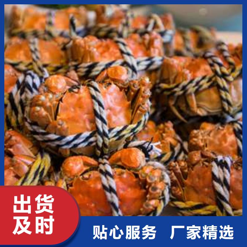阳澄湖大闸蟹视频-辽宁省沈阳市|苏家屯|铁西|抚顺|葫芦岛|营口|阜新|铁岭|丹东阳澄湖大闸蟹-顾记