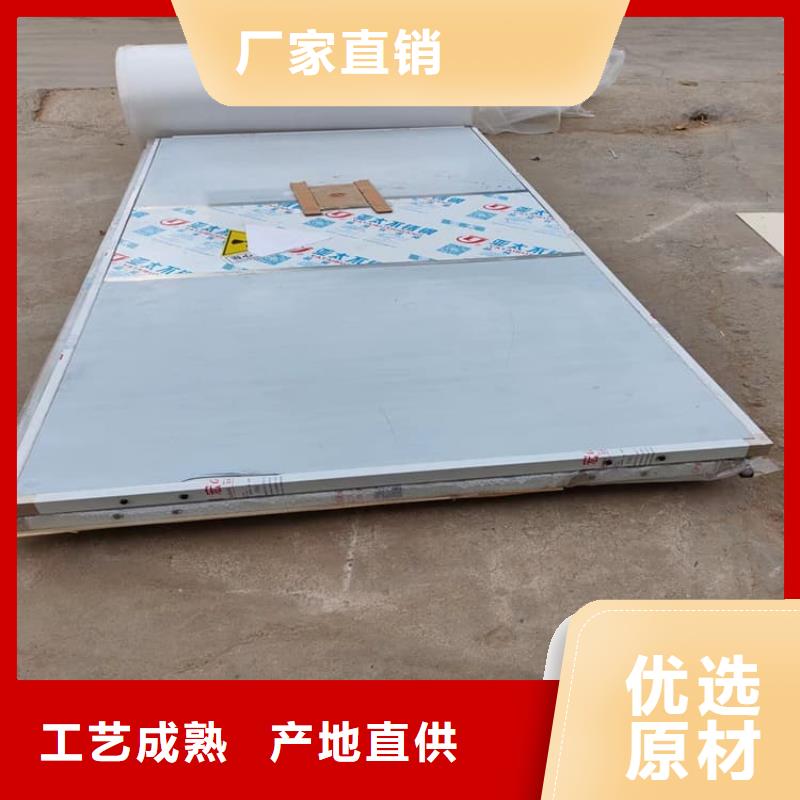 铅门900*2200mm行业经验丰富