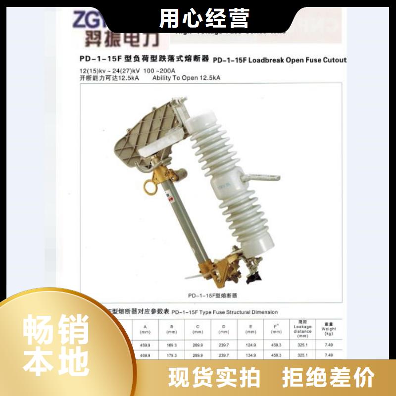 【熔断器】三相组合式避雷器质保一年