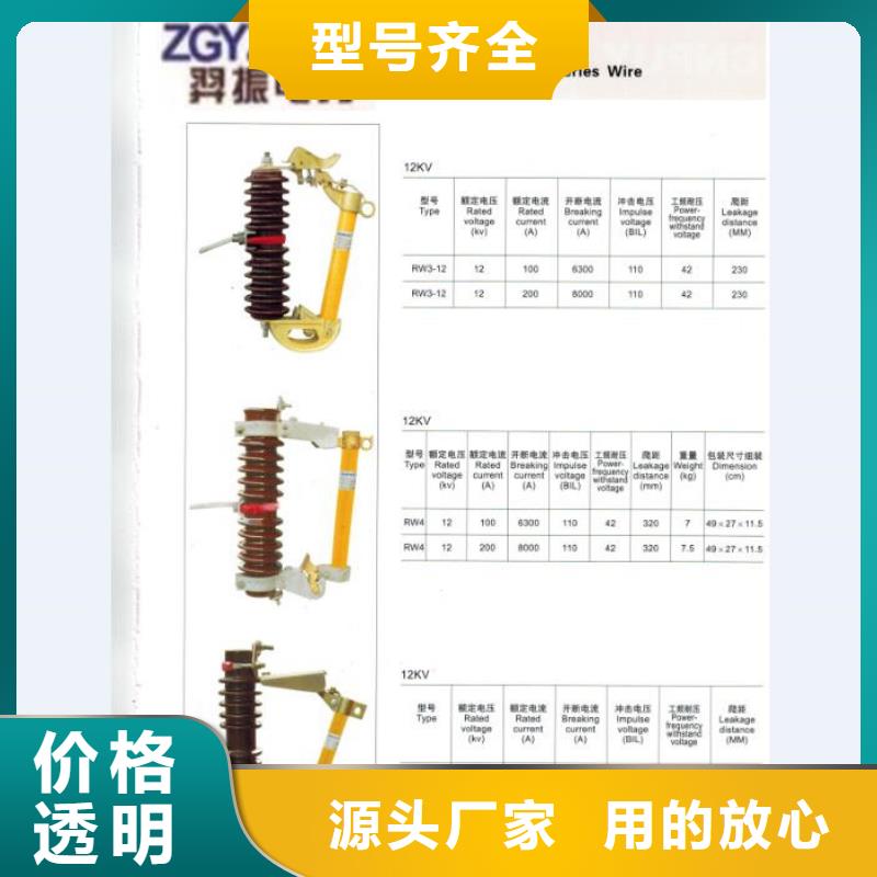 _避雷器Y10W1-96/232【羿振电气】