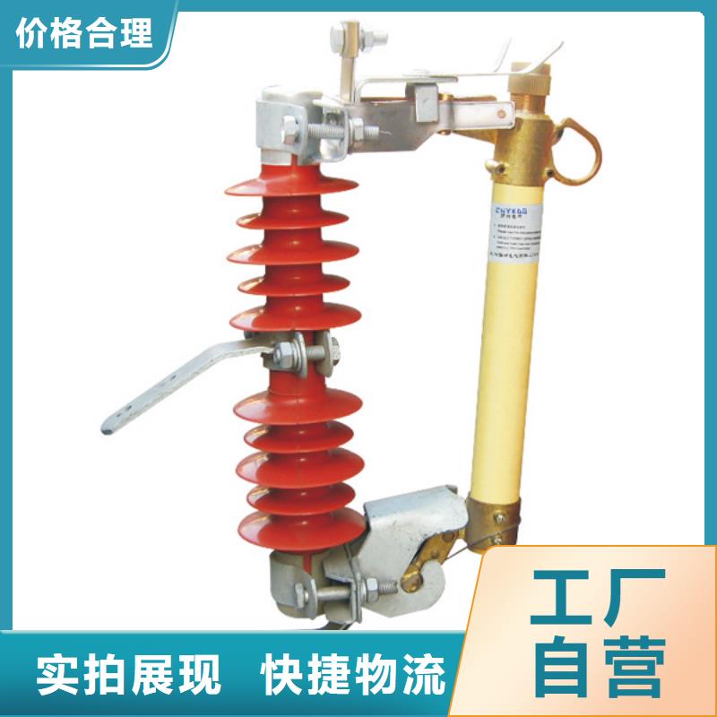 高压熔断器/RW12-15KV/100A