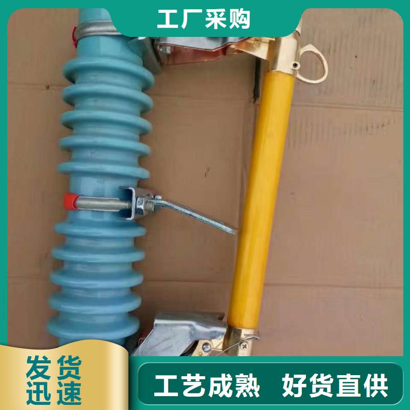 熔断器避雷器来图来样定制