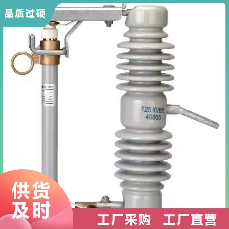 高压熔断器/户外高压跌落式熔断器PRW5-10F/100A