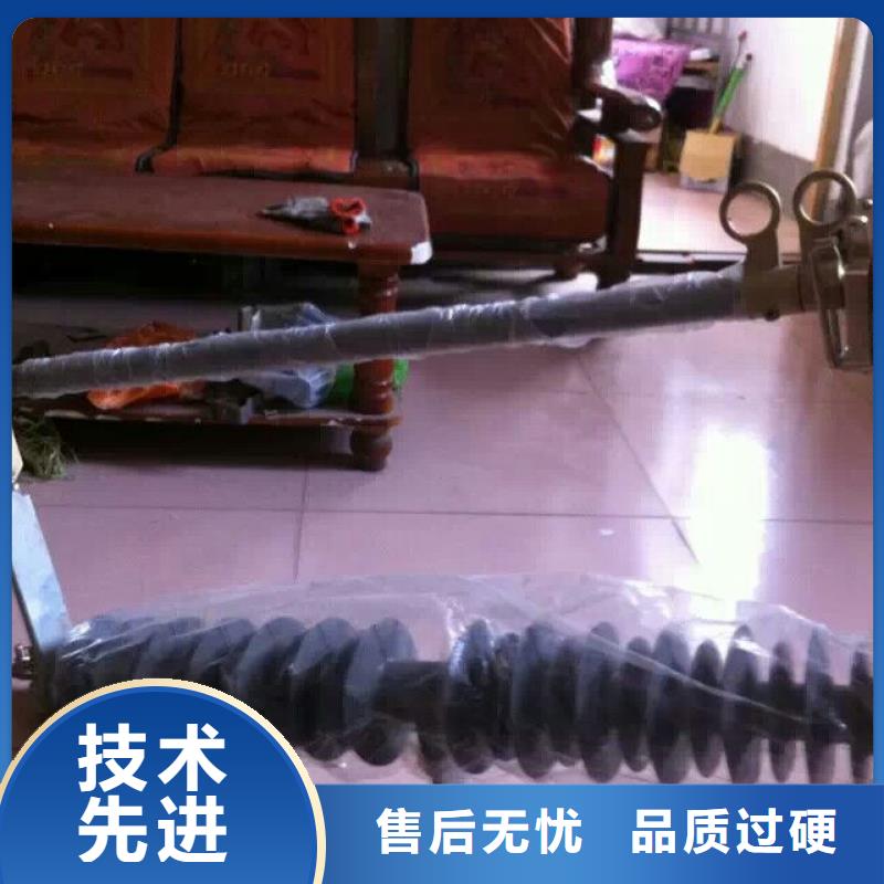 熔断器-避雷器好产品不怕比