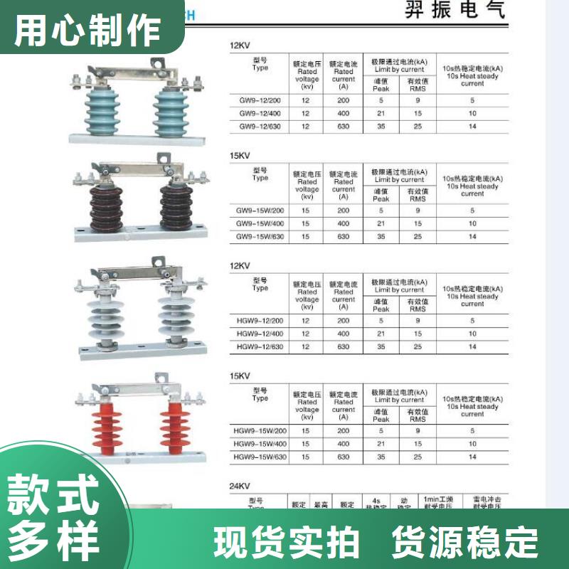 高压隔离开关防触电断路器主推产品