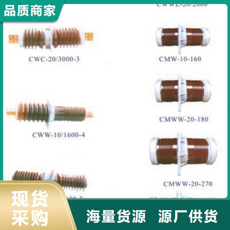 高压隔离开关-CW2智能型式断路器可定制