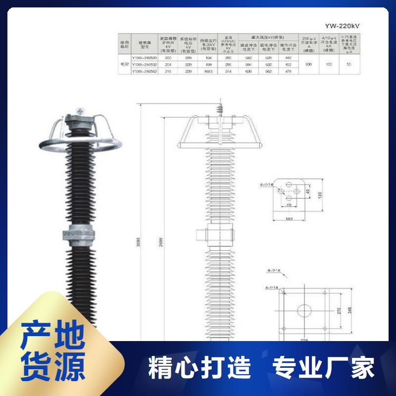 避雷器HY1.5W-30/80【浙江羿振电气有限公司】