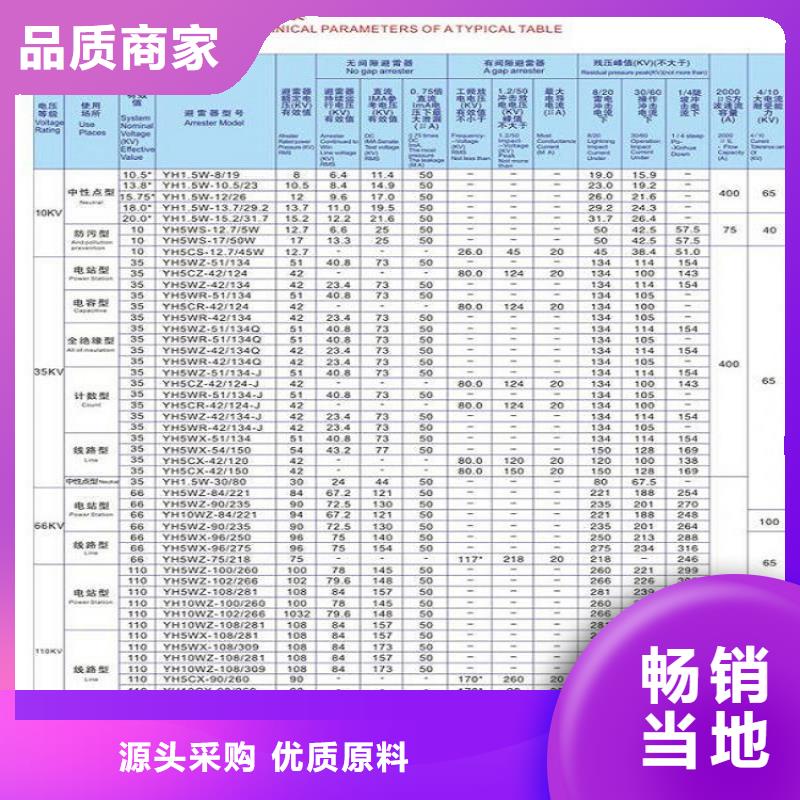 【羿振电气】避雷器HY10WZ-108/281