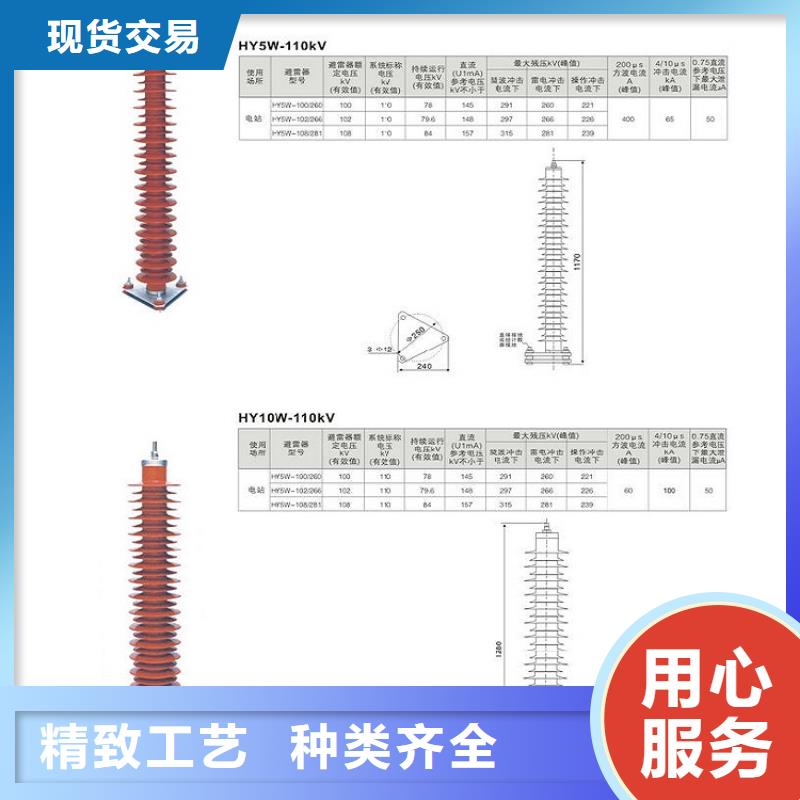 金属氧化物避雷器Y10W-216/562【浙江羿振电气有限公司】