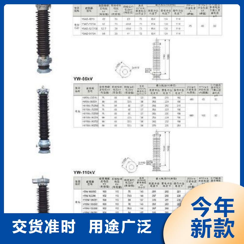 避雷器HY10WX-228/600TD