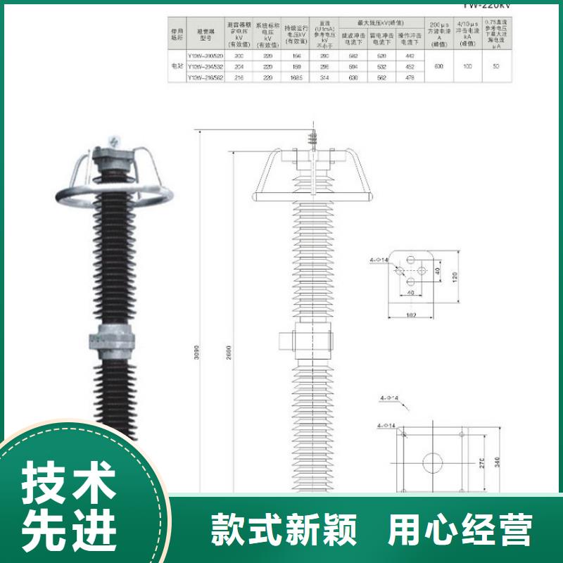 氧化锌避雷器Y10W-108/281【浙江羿振电气有限公司】