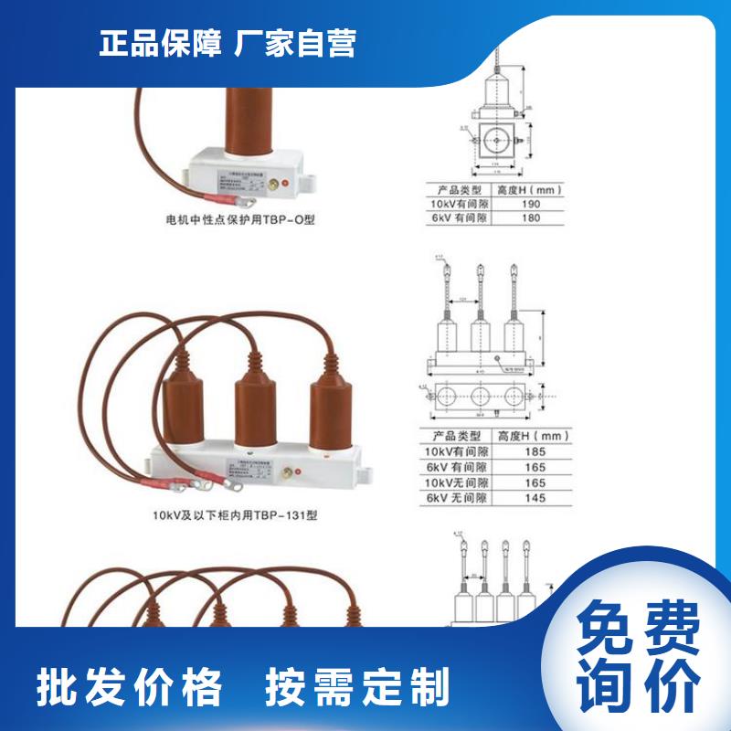 【羿振电力牌】过电压保护器TBP-C-6.3/85-J