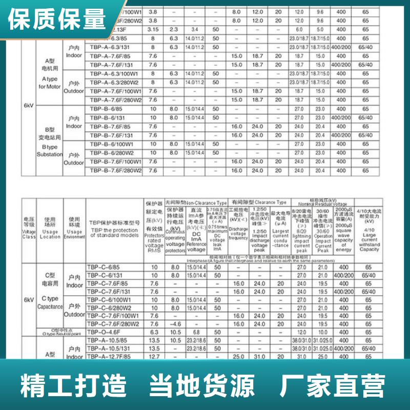 过电压保护器(组合式避雷器)TBP-B-42F/630W