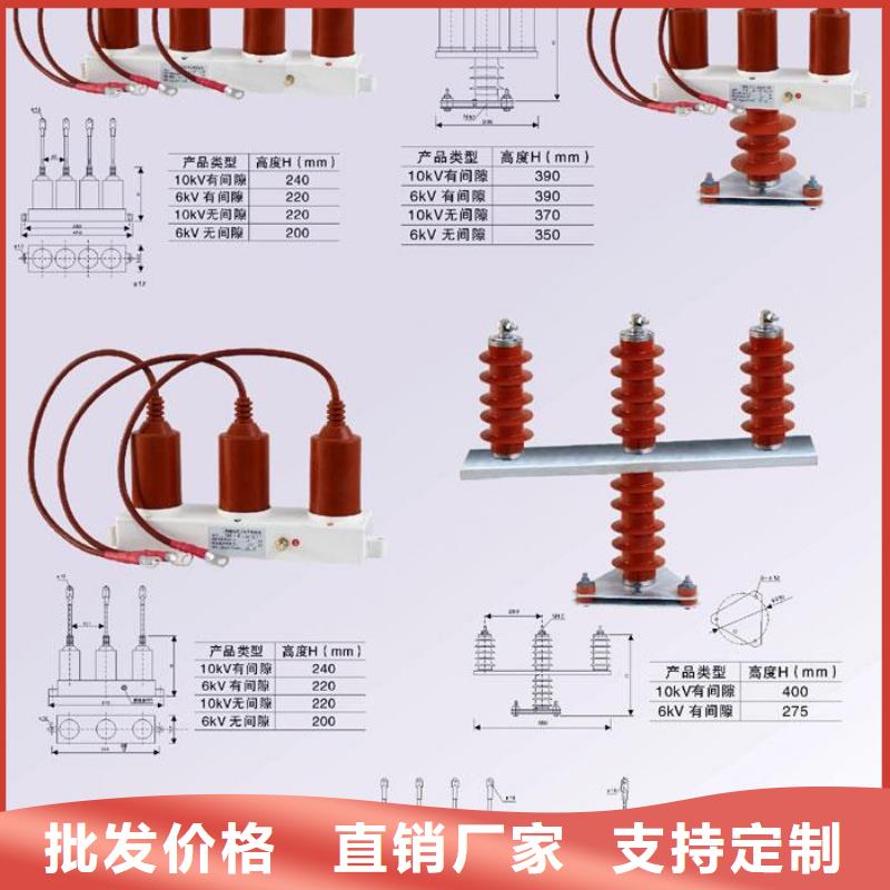 保护器(组合式避雷器)RSB-A/F-6.3-J