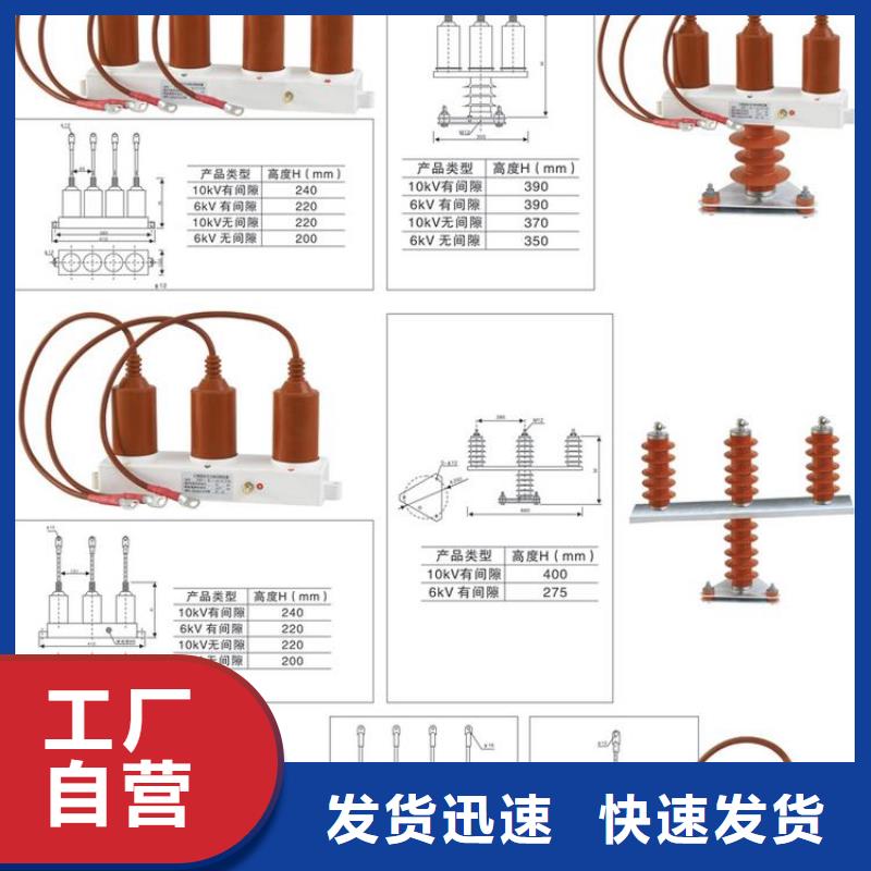 【过电压保护器】TBP-A-35/310