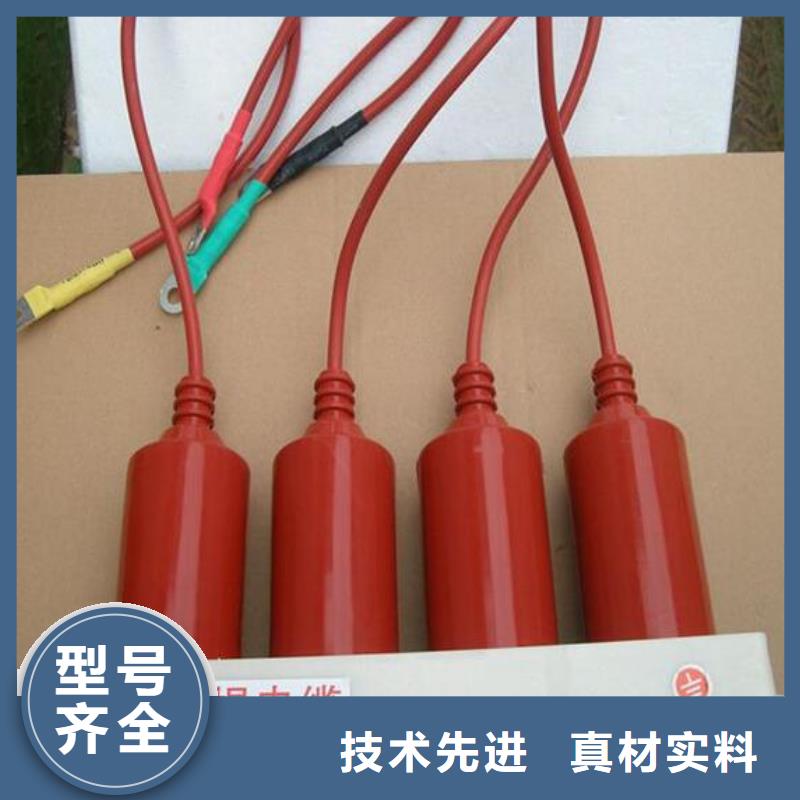 过电压保护器(组合式避雷器)TBP-C-42/400W1