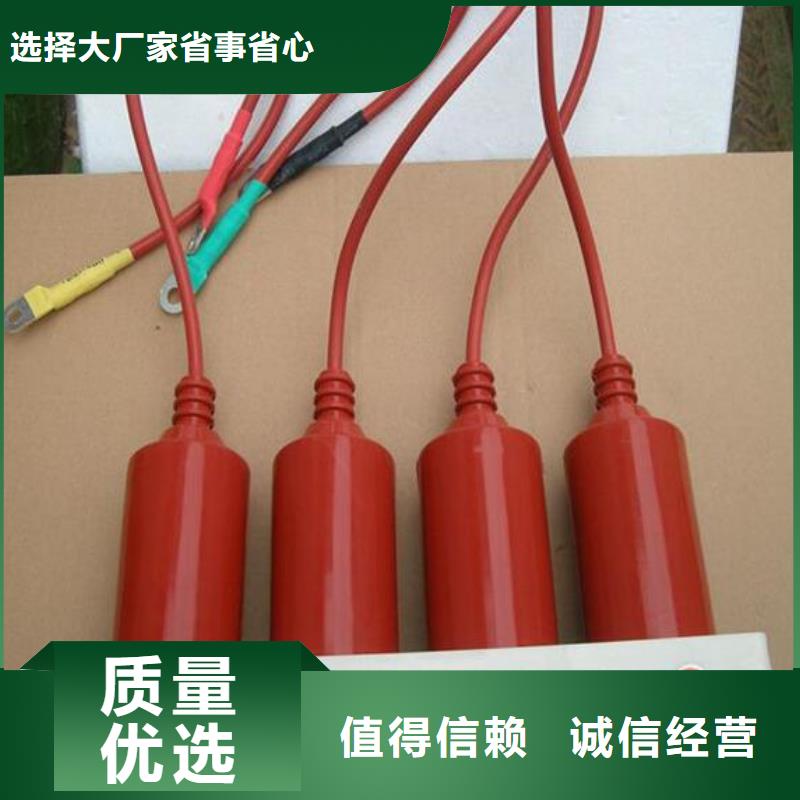 保护器(组合式避雷器)BSTG-C-42F/630W2