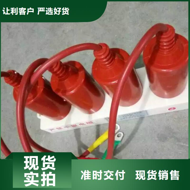 过电压保护器(组合式避雷器)TBP-A-42F/400W