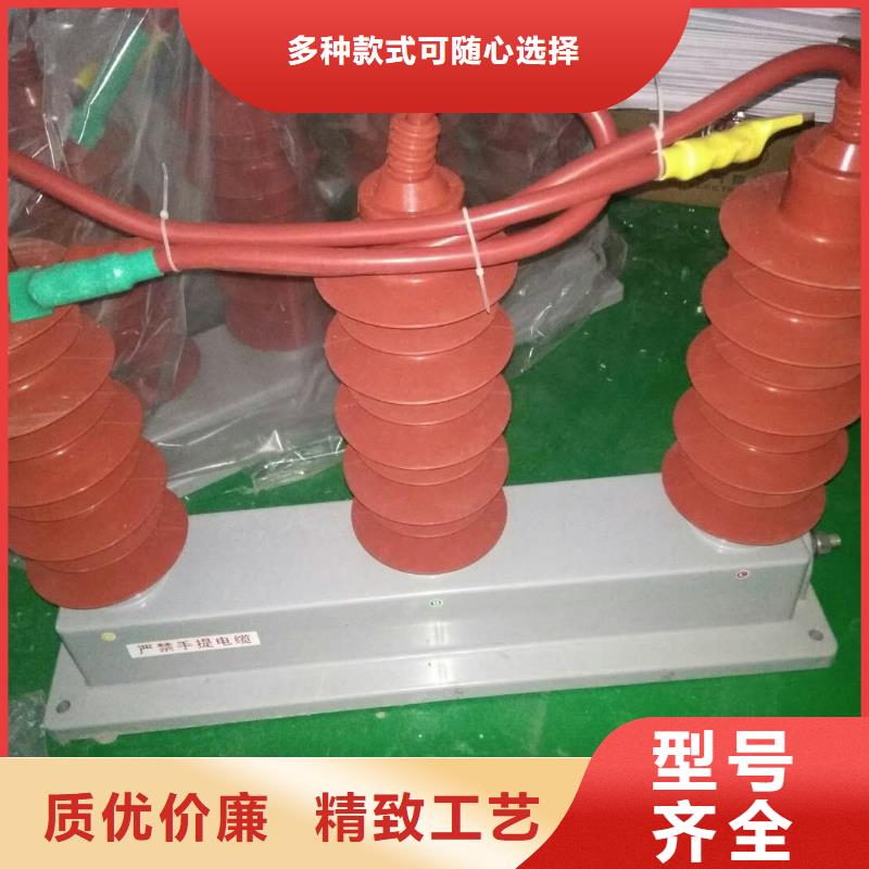 过电压保护器真空断路器厂家品控严格 羿振电气(新余市分公司)