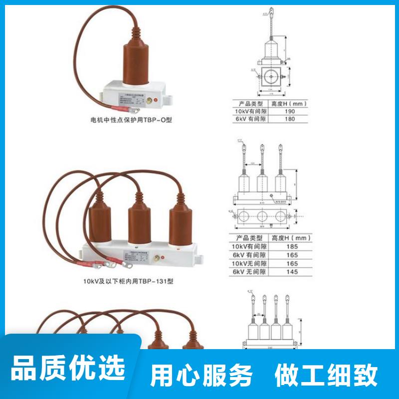 【过电压保护器】TBP-A-35/310