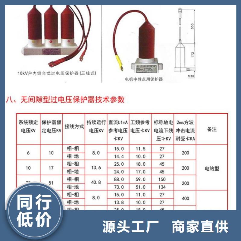 过电压保护器(组合式避雷器)TBP-A-7.6F/120