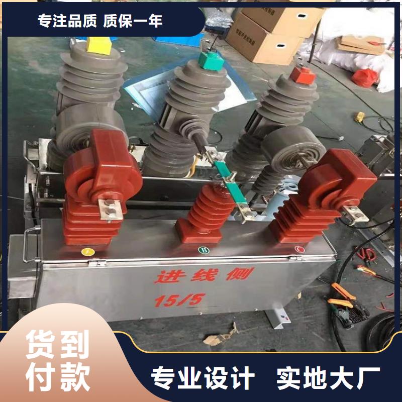 柱上断路器ZW32-12FG/630-25