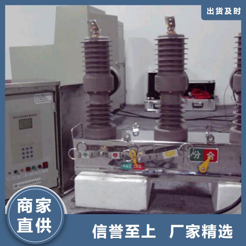 品牌：【羿振电气】柱上断路器.AC10kV.630A.16kA.真空.无隔离闸刀(电动.弹簧）/供应商