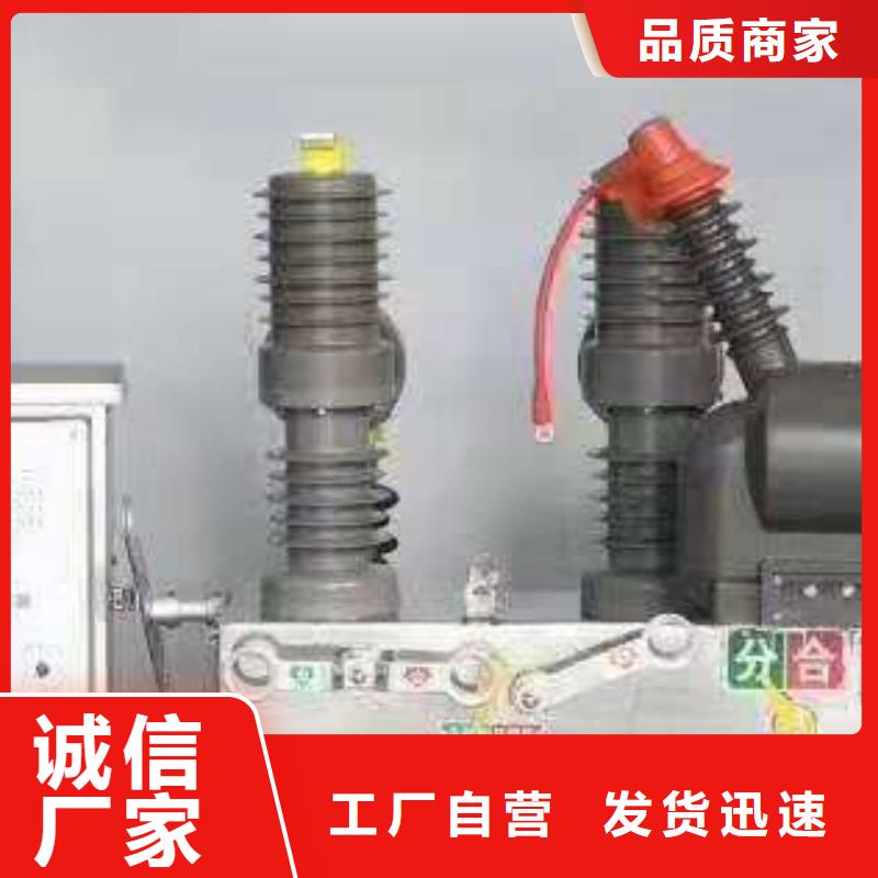 柱上断路器ZW32-12FG/630-25