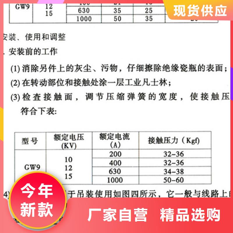 单极隔离开关HGW9-20G/630A单柱立开,不接地,操作型式:手动