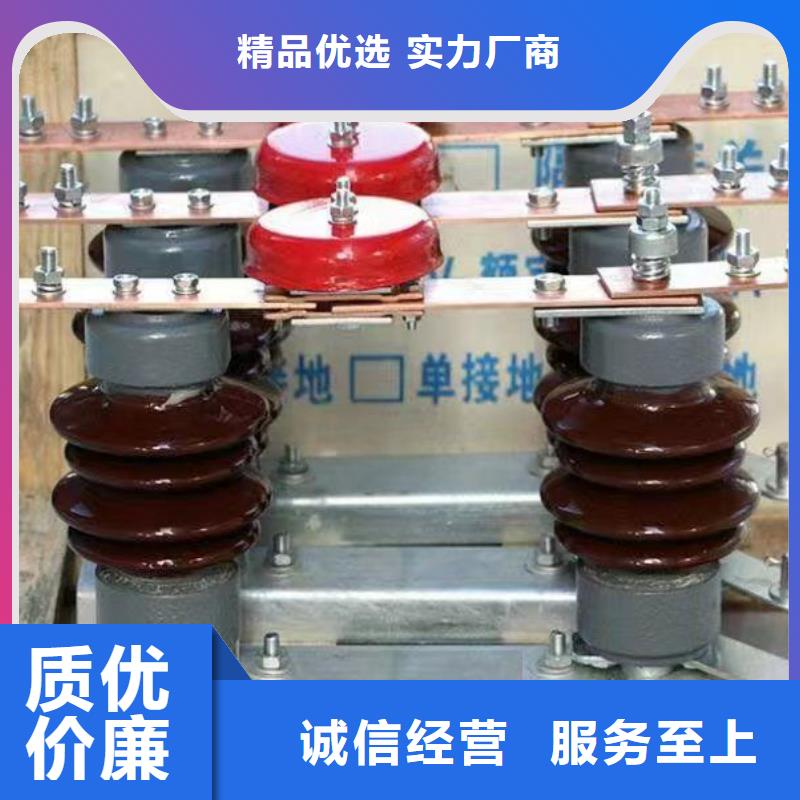 户外高压隔离开关HGW1-10KV/630