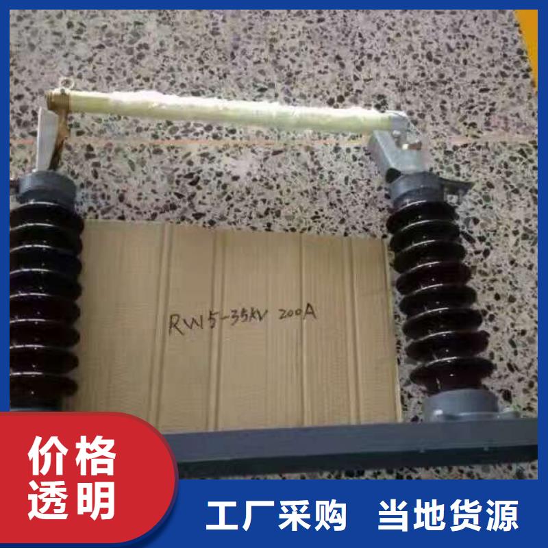 厂家推荐：高压熔断器/HRW-12/100A