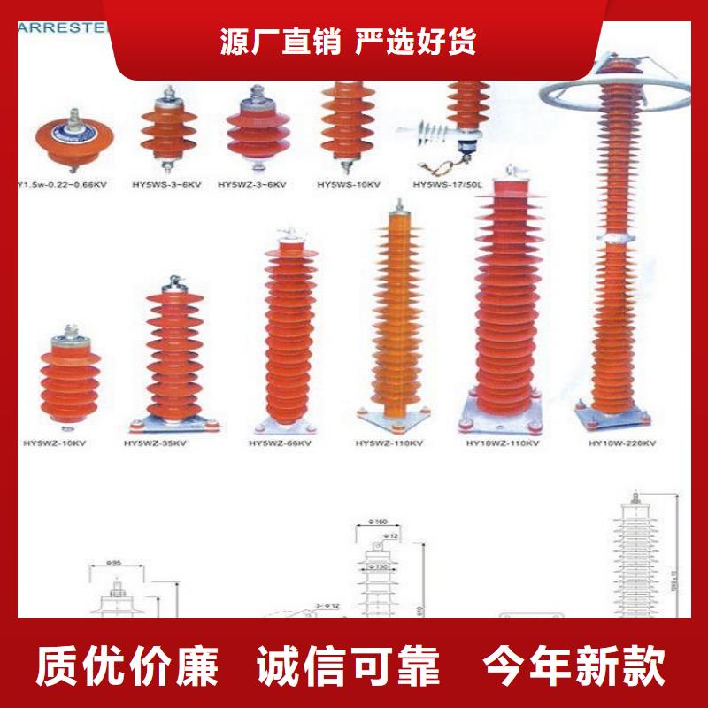 避雷器YH1.5W-31/81【羿振电力设备】