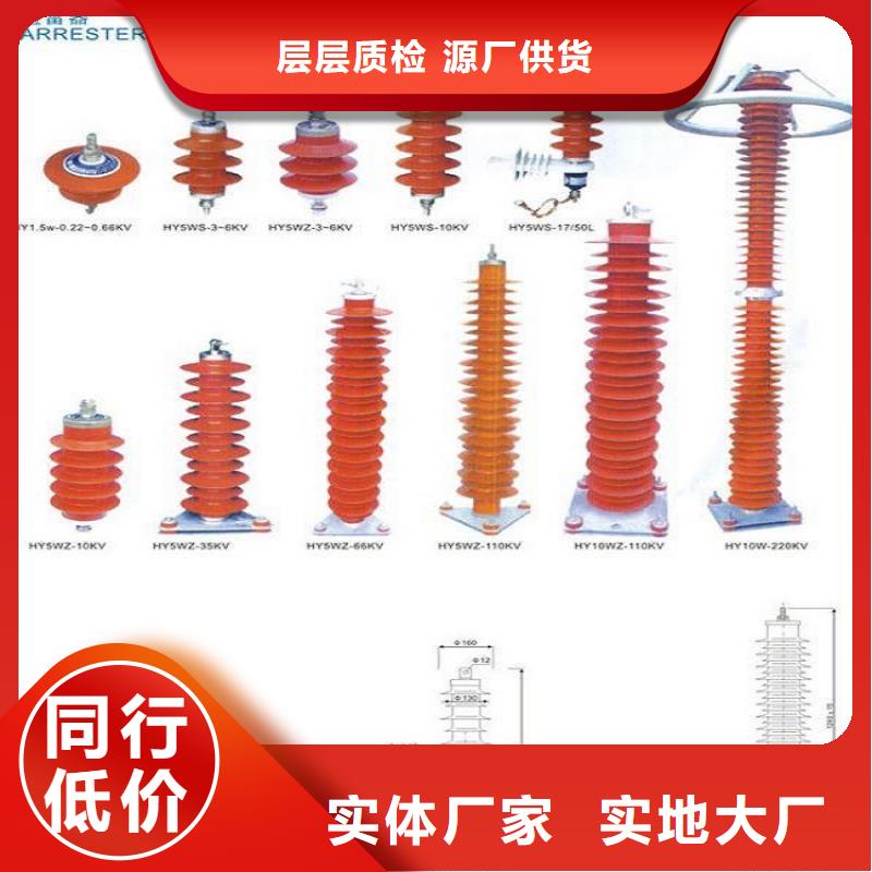 柳市厂家供应氧化锌避雷器Y10WZ-92/232】