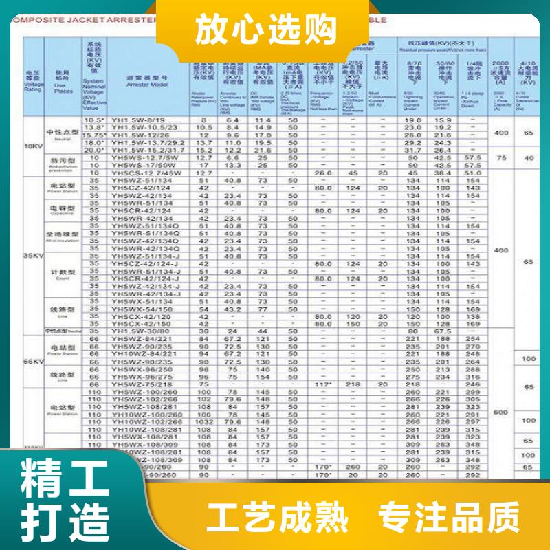 瓷外套金属氧化物避雷器Y10W-192/500浙江羿振电气有限公司