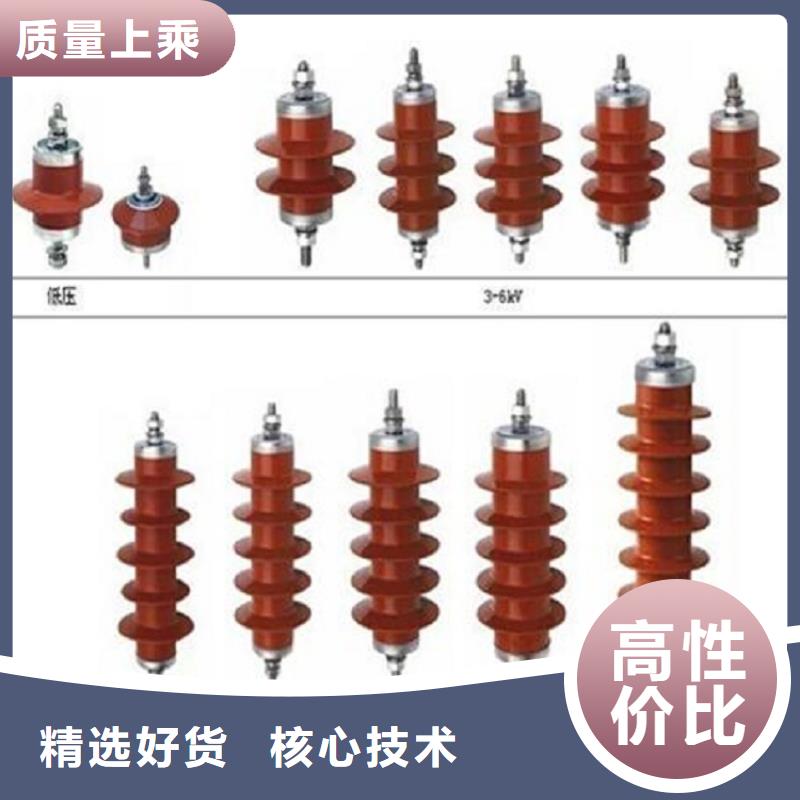 氧化锌避雷器HY10WS-100/260种类齐全