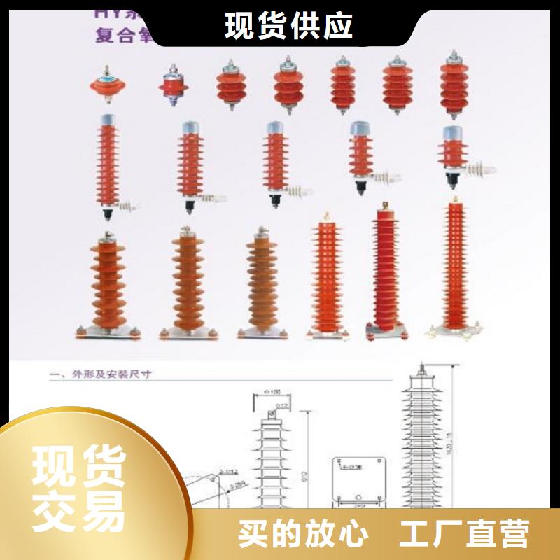 【羿振】避雷器Y10W1-96/250(G)W